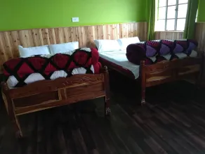 Maison avec chambre chez l'habitant. pépinière de fleurs de renommée mondiale et jungle de pins - Image 4