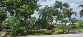 Tropical Studio with Private Kitchen and Bath - Image 4