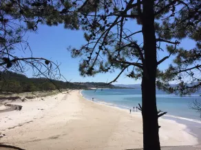 Idylliskt läge i naturen 1 km från havet (4/5 sovrum, 8 sovplatser plus 3) - Image 4