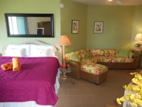 Couples Retreat, King Bed, Wi-Fi, Cable TV, A/C, Close to Cruz Bay - Image 3