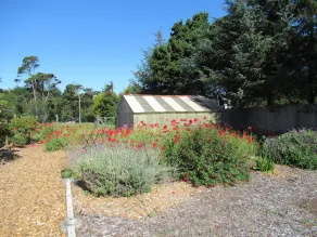 Coastal Country Home in Cleone - walking distance to beach, trails and park - Image 5