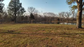 Primitive campsites, pond, wildlife, campfires - Image 5