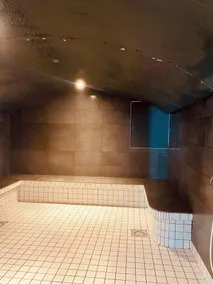 Résidence Le Grand Tétras- SPA THERMAL INCLUS - Image 2