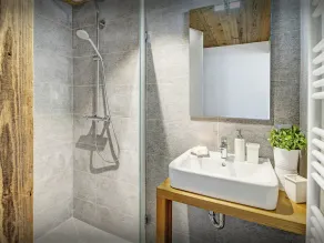 Luksuriøs 5 * ejendom, Le Grand Bornand. Jacuzzi, sauna Wi - OVO netværk - Image 4