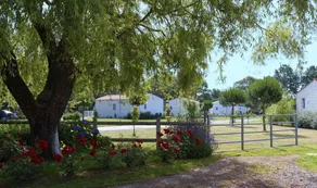 OVERNATNING I ET BOLIGPARK 4 * - Image 4