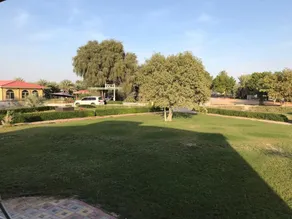 Beautiful Farm in dubai - Image 5