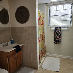 West Knoxville near I-40/Easy access to all Knoxville/Pet friendly/15 min to UT - Image 4