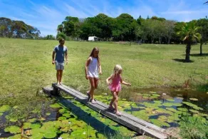 Casa Del Mare - Farm stay by the ocean - Image 4