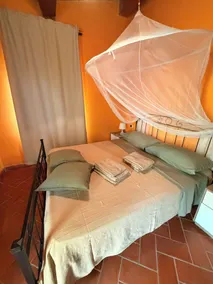 the Casellina - Image 3