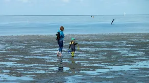 Urlaub mit Hund am Deich Gemütliche FeWo "Küstenperle" mit Gemeinschaftssauna für den Herbst - Image 3