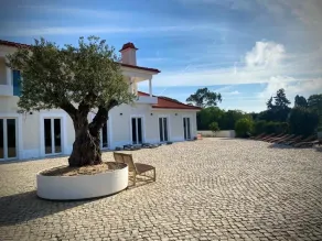 So Magoito - Image 4