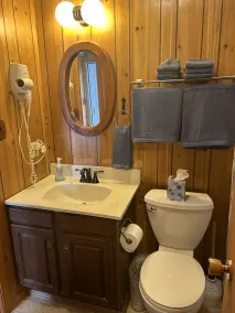Lower level, cozy, dog friendly chalet in a wooded location-3 blocks from skiing - Image 4