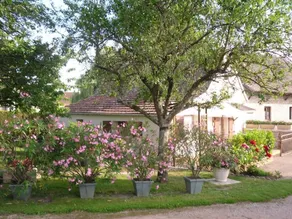 La Maisonnette - Baudrieres - Image 4