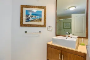 2 bd/3 ba condo with private patio, jacuzzi - Image 4