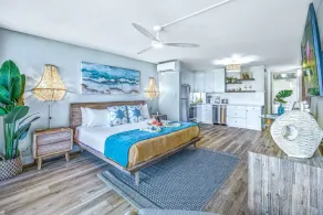 Ultra Modern/Coastal-Remodel, Oceanview, AC - Napili Shores G154 - Image 5