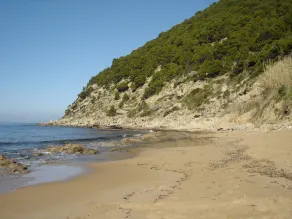 Apartamento con una hermosa terraza panorámica en la costa del Cilento. - Image 4