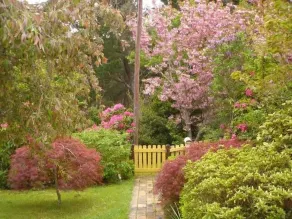 Dowling Cottage - tranquil haven in Blackheath - Image 4