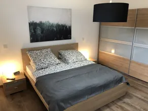 Apartment cherry wood - Image 4