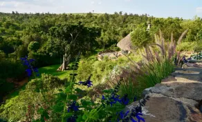 Olepangi Farm - Image 2