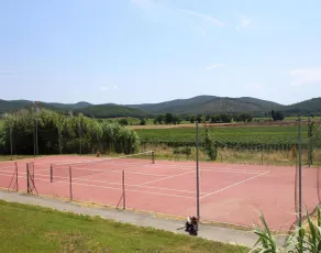 Apartment in Campiglia Marittima - Image 3