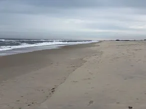 2 BR 1 BA Dog friendly home in Assateague Pointe WOC: Text BEFORE booking!! - Image 5