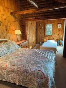 Wallenpaupack Lakefront Log Home - 3 soveværelser + hems og Central AC - Image 5
