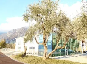 Marone: Novo estúdio com jardim privativo com churrasqueira - Image 4