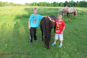 300+ Acre Ranch in New York State - Image 3