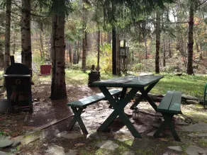 STREAMSIDE CABIN IN THE CATSKILLS - Image 5