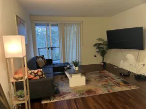 Beautiful Condo in Noho Art District - Image 5