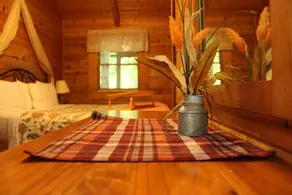 Laurel Cabin is romantic, cozy and all around perfect for couples! - Image 5