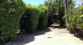 Hotel Parador Diamante - Image 4
