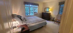Dog friendly lakefront home w/fireplace near Lk George. Telecommuters welcome! - Image 5