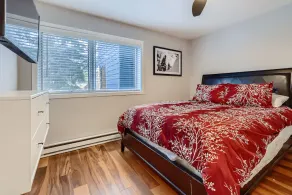 Centrally Located Remodeled Mountain Condo - Image 5