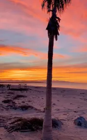 Beachfront Home on the East Cape of Mexico! - Image 3