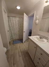 New Construction 3 Bed/2 Bath Home on Beautiful Nyona Lake Sleeps 9 Pet Friendly - Image 3