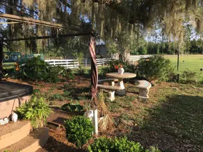 Glamping Treehouse on Farm, Unique Experience! - Image 3