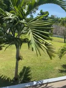 Brand new modern apartment 5 min from beach - Image 5