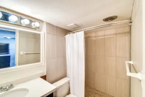 Newly remodeled 1 Bedroom Condo - Image 2