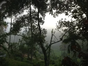 The Hills are alive.............  - Image 5