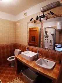 Holiday home with swimming pool, sauna and air conditioning - Image 4