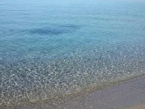 Marina di Ascea: Apartment in der Villa dei Limoni – Marina di Ascea - Image 3