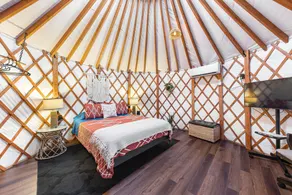 Luxury Glamping Yurt on 1 acre! - Image 4