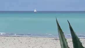 Mediterranean house on the beach - Image 5