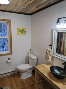 Rainy Lake Retreat! Three year old cabin, Lakeview with hot tub and dock!! - Image 3