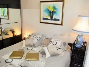 Charming Riverside House with Garden, Modern Amenities, Near Loire Castles - Image 4