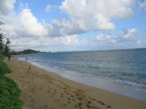 Største private gårdhave på havet og klimaanlæg - Image 4