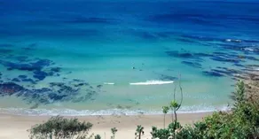 Sanctuary Bush Beach House - Image 4