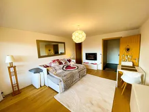Cosy, quiet studio with terrace overlooking the Alps - Image 2