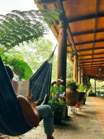 Los Cuatro Olivos Hotel Boutique - Image 5